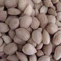 بادام+|خوردنی و آشامیدنی|قم, باسکول|دیوار