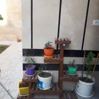 استند گل