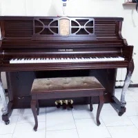 پیانو آکوستیک ماهاگانی در نمایندگی شرایط ویژه
