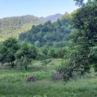 فروش ویلا باغ