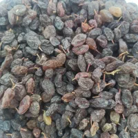 محصولات خانگی ارگانیک رب ۱۳۰ .بادام ۳۲۰ ترشی