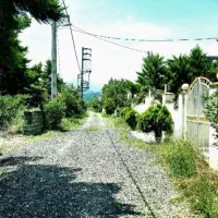 زمین200متری-خوشقواره-سندتک-برگ-شهرکی