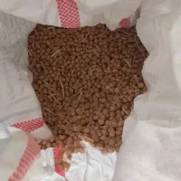 نخود|خوردنی و آشامیدنی|زاغه, |دیوار