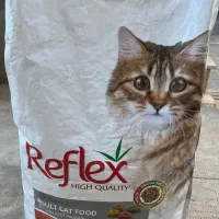 غذای خشک ، سگ و گربه