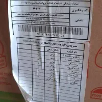 چینی ۳۰ پارچه طوس طرح درسا آکبند