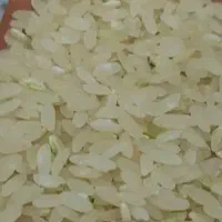 برنج کامفیروزی درجه یک