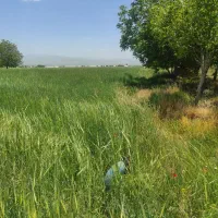 فروش و معاوضه زمین آبی .با ماشین ساینا پراید 206