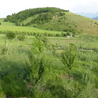 باغ ییلاقی|فروش زمین و ملک کلنگی|فریم, |دیوار