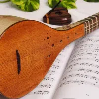 آموزش خصوصی سه تار