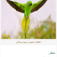 قبولی واگذاری رایگان پرندگان