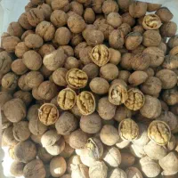 گردودشتک|خوردنی و آشامیدنی|شیراز, حومه شیراز|دیوار