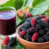آب شاتوت آب انار آب زرشک
