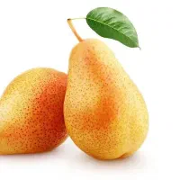 فروش نهال گلابی بارتلت|خدمات باغبانی و درختکاری|داران, |دیوار