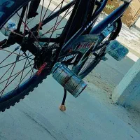 دوچرخه بیست خشک