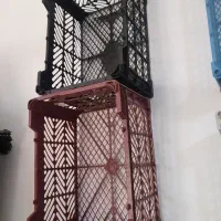 کارگر ساده نیازمندیم