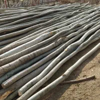 چوب گلخانه وپالت