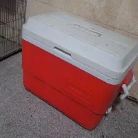 کلمن آب و بشکه