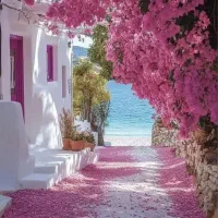 داوطلبانه راهنمایی بدون قضاوت