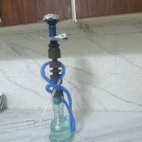 قلیون  فروش  هست  سالم هست مشکلی نداره