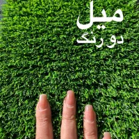 پخش چمن و گرین وال با قیمت درب کارخانه|مصالح و تجهیزات ساختمان|اهواز, کوی ملی راه|دیوار