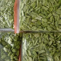 سبزیجات نمونه یعقوبی|خوردنی و آشامیدنی|تاکستان, |دیوار