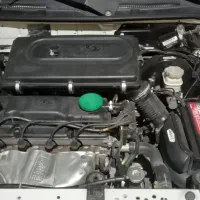 ساینا معمولی