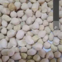 نخود محلی ریزو بشرط پزو بودن درجه 1