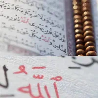 نیازمند استاد خانم برای صوت ولحن