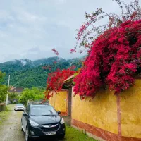 شهرک-چلندر-پایکوه-سندتکبرگ