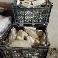 کف دریا|لوازم جانبی حیوانات|سمنان, |دیوار