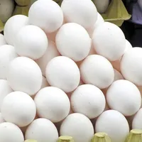 تخممرغ ۲۵۰۰تومن