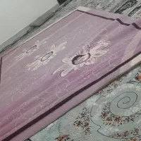 درحدنو