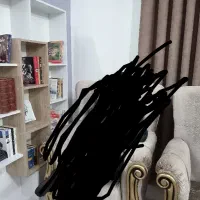 کتابخانه|کتابخانه، شلف، قفسه‌های دیواری|فردوس (خراسان), |دیوار