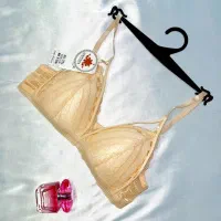 سوتین اروپایی هارنسدار|لباس|تهران, طرشت|دیوار