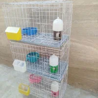 قفس جوجه گیری