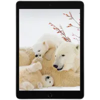 IPAD 2021|تبلت|بومهن, |دیوار