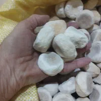 کشک خشک ارگانیک