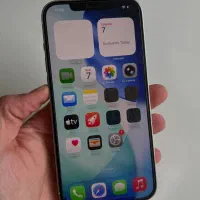 12promax|موبایل|چالوس, |دیوار