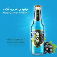 استخدام ویزیتور
