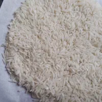 برنج طارم هاشمی(نوج) از خود کشاورز