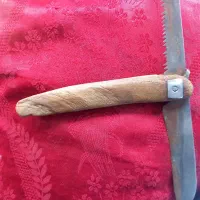 فروش یک عدد چاقو اره دسته شاخ کرگدن بسیار کمیاب|کلکسیون اشیاء عتیقه|سپیدار, |دیوار