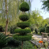 هرسکاری تخصصی  با دستگاه و سمپاشی، علف تراش