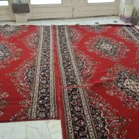 فرش کناره|فرش|قم, شهر قائم|دیوار