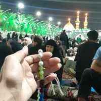 گروه زیارتی معراج اجراکننده تورهای ارزان کربلا
