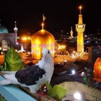سفر ۶ روزه مشهد مقدس کاروان زیارتی علی اصغر