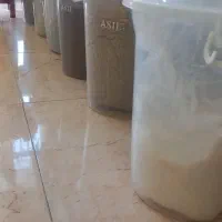 سطل شفاف|ظروف نگهدارنده، پلاستیکی، یکبارمصرف|بردسیر, |دیوار