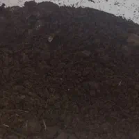 فروش کود حیوانی درجه یک|خدمات باغبانی و درختکاری|ساوه, |دیوار