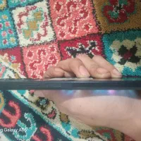 شیامی نوت 12|موبایل|رباطکریم, رباطکریم|دیوار