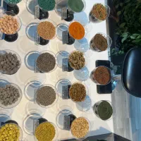 سالن پرورش ماهی خوراک