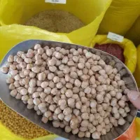 خرید و فروش نخود سفید و درجه یک